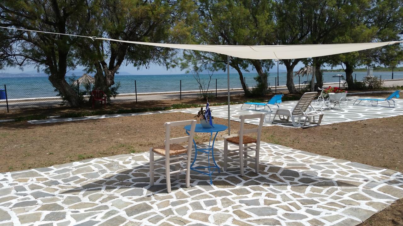 Villa Zoi Thronion Esterno foto